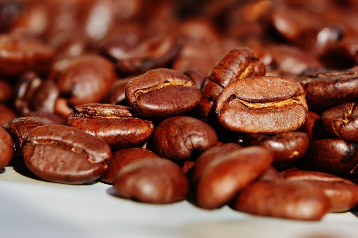 arabica bean