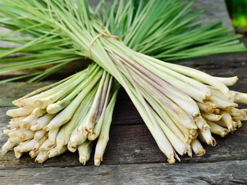 lemongrass