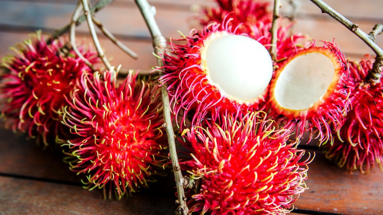 Rambutan fruit