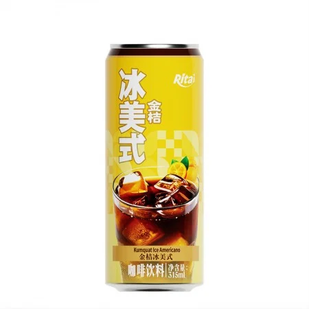 All 330ml sleek can Iced Americano kumquat