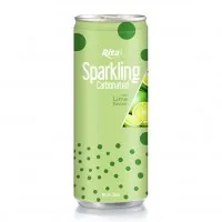 Supplier Sparkling Water Lime Flavor 250ml Alu Can 